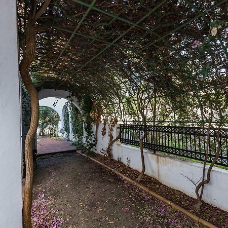 Villa Papaya Residence Pafos Zewnętrze zdjęcie